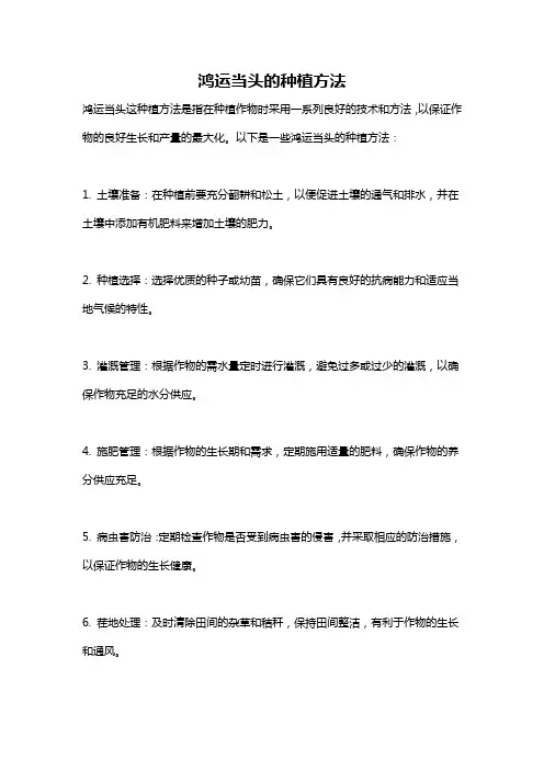 鸿运当头的种植方法
