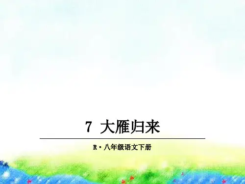 7大雁归来(课件19张PPT 教案 导学案 素材)