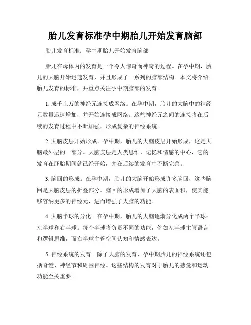 胎儿发育标准孕中期胎儿开始发育脑部
