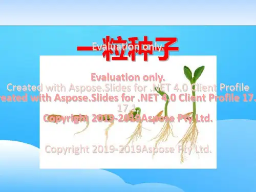《一粒种子》PPT下载【优秀课件】共30页文档