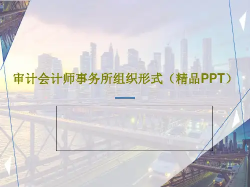 审计会计师事务所组织形式(精品PPT)20页PPT
