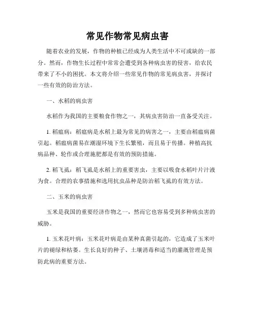 常见作物常见病虫害