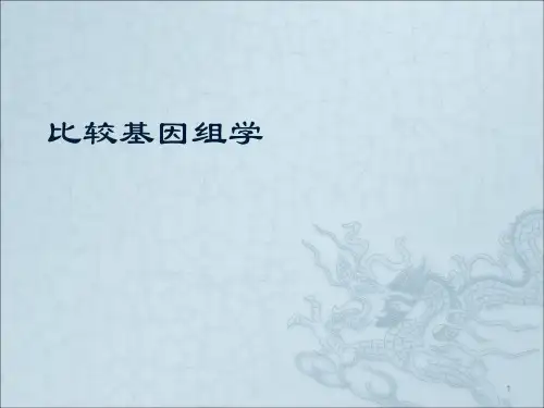 研究生课程比较基因组学ppt课件