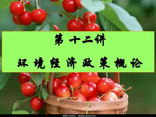 第十二章环境经济政策概论