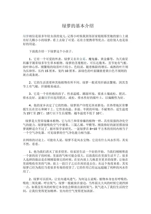 绿萝介绍