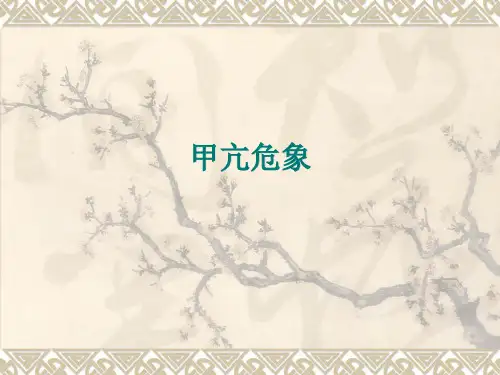 甲亢危象 PPT课件