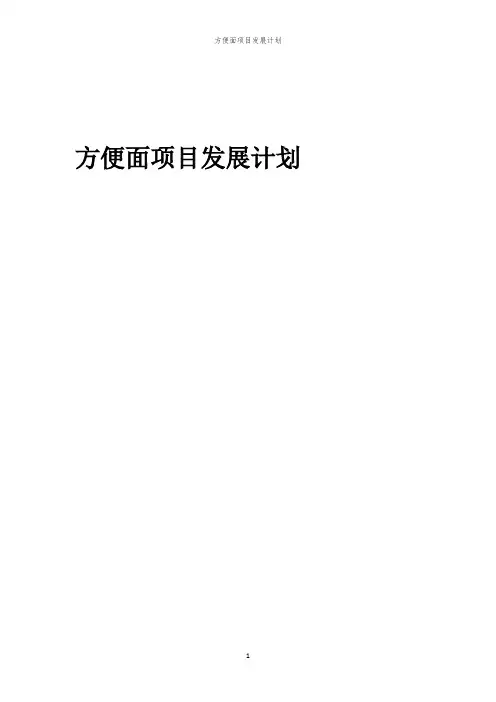 2024年方便面项目发展计划