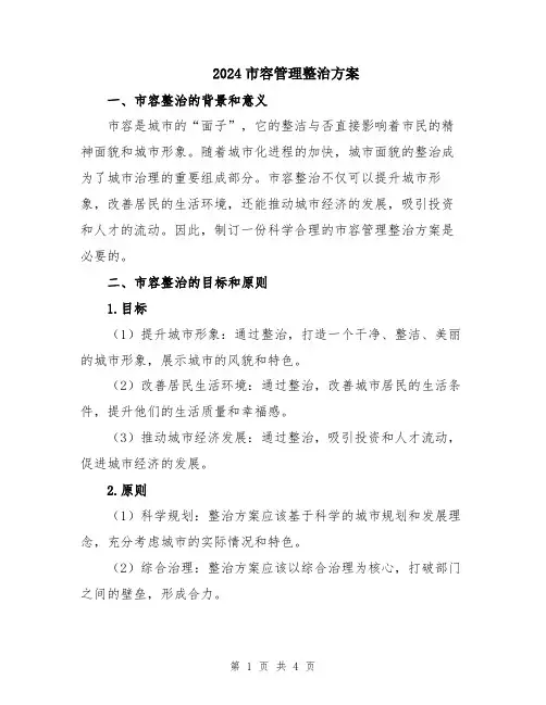 2024市容管理整治方案