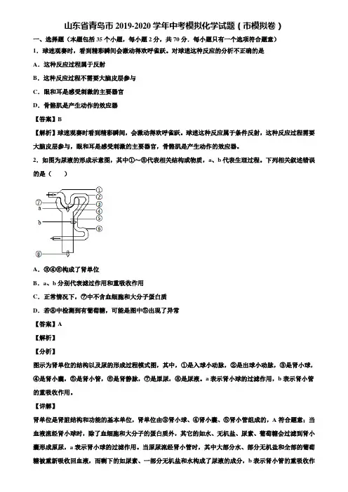 山东省青岛市2019-2020学年中考模拟化学试题(市模拟卷)含解析