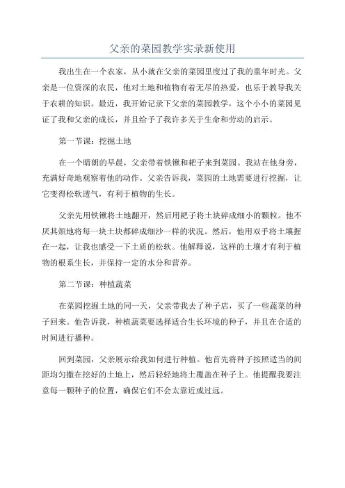 父亲的菜园教学实录新使用