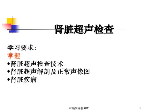 肾脏超声检查ppt课件