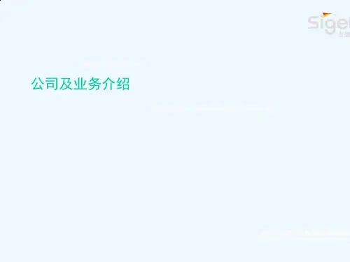 某咨询公司相关业务介绍