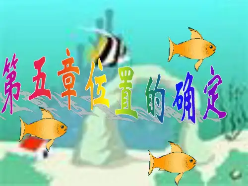 北师大八年级上册数学《变化的鱼》