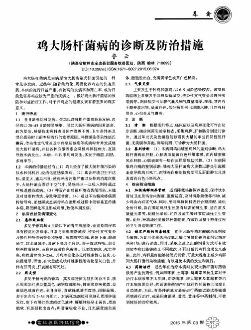 鸡大肠杆菌病的诊断及防治措施