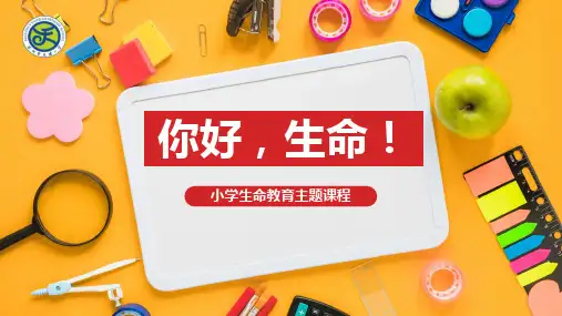 小学心理健康 生命教育 《你好,生命》教学课件PPT