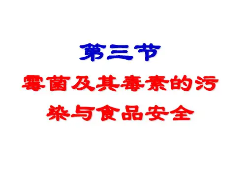 食品中的真菌毒素4