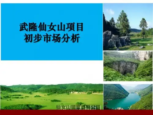 重庆武隆仙女山项目初步市场分析
