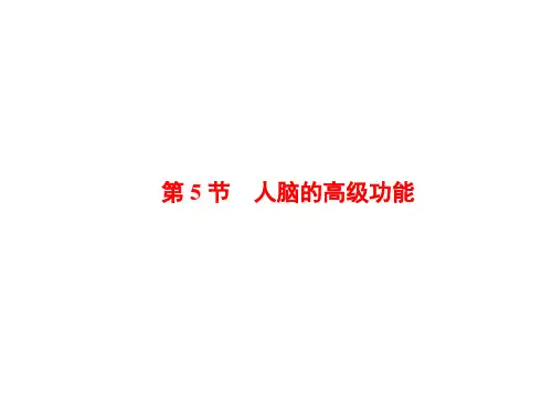 【人教版生物】选择性必修1课件：第2章 第5节 人脑的高级功能