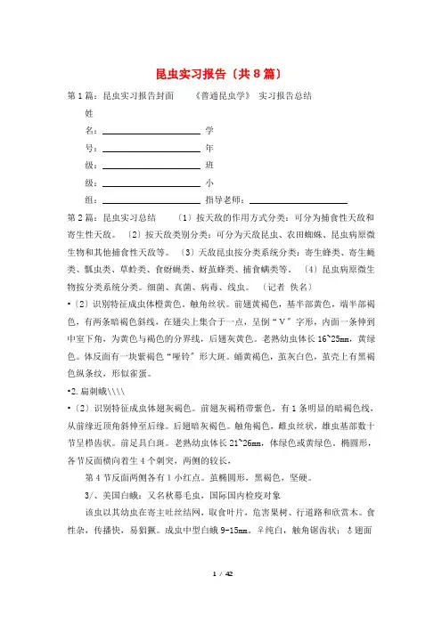昆虫实习报告(共8篇)