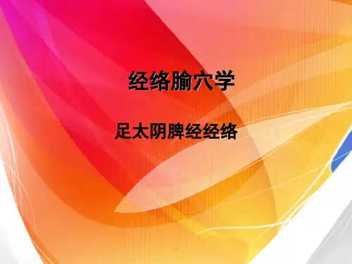 脾经经络PPT演示课件