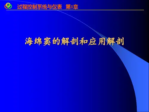 海绵窦的解剖和应用解剖PPT