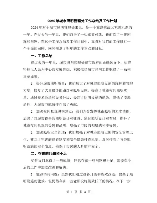 2024年城市照明管理处工作总结及工作计划