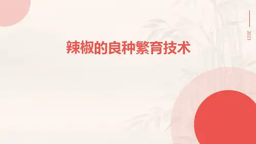 辣椒的良种繁育技术
