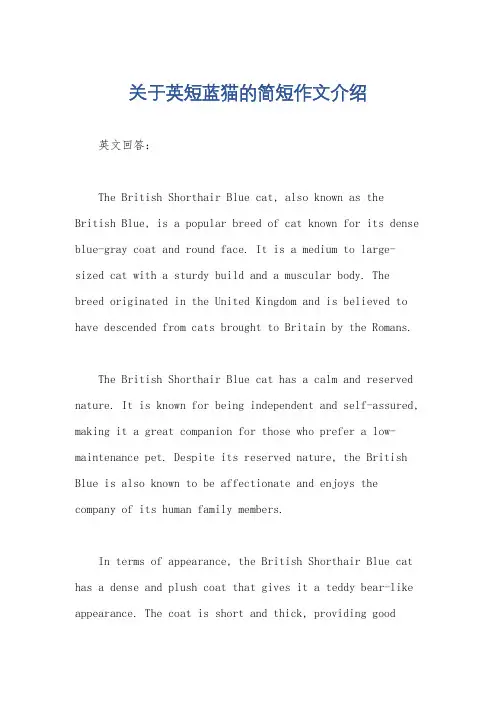 关于英短蓝猫的简短作文介绍