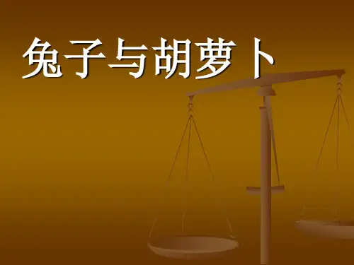 兔子与萝卜.ppt