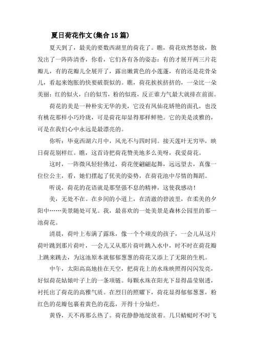 夏日荷花作文(集合15篇)精选