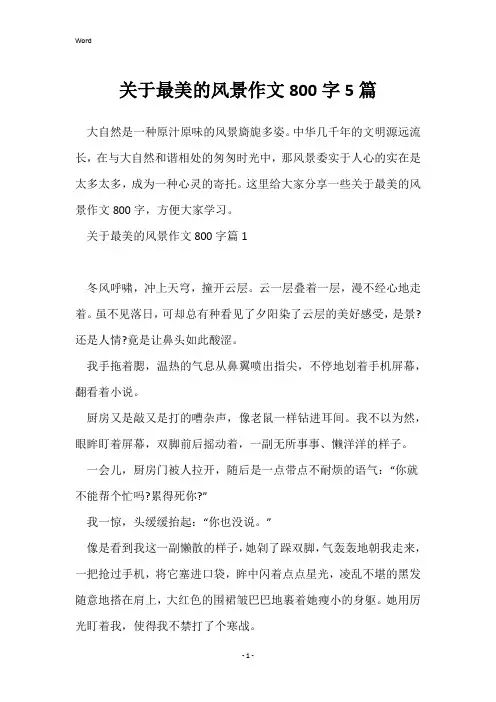 关于最美的风景作文800字5篇