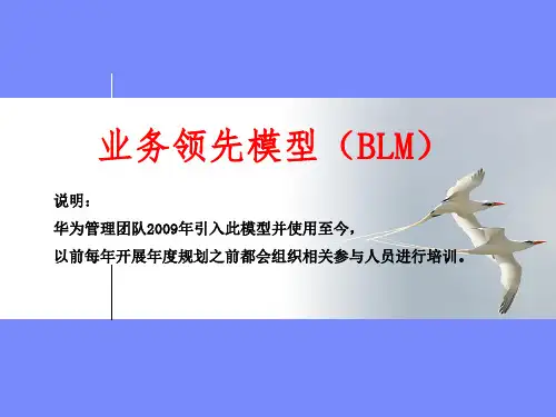 业务领先模型(BLM模型)--华为引入的年度规划思路