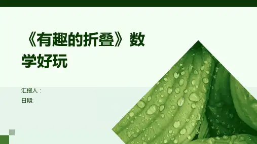 《有趣的折叠》数学好玩