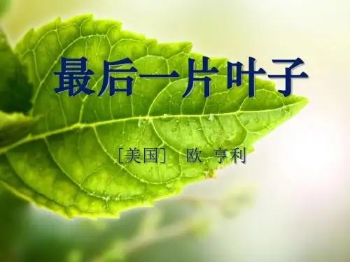《最后一片叶子》PPT教学课件