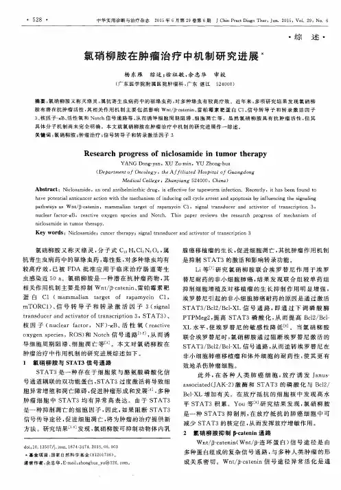 氯硝柳胺在肿瘤治疗中机制研究进展