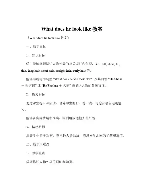 What does he look like教案