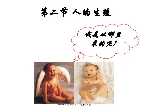 1.2人的生殖过程