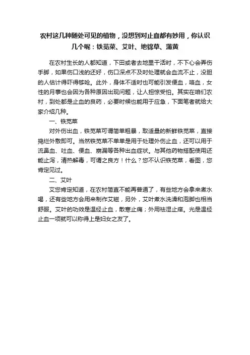 农村这几种随处可见的植物，没想到对止血都有妙用，你认识几个呢：铁苋菜、艾叶、地锦草、蒲黄