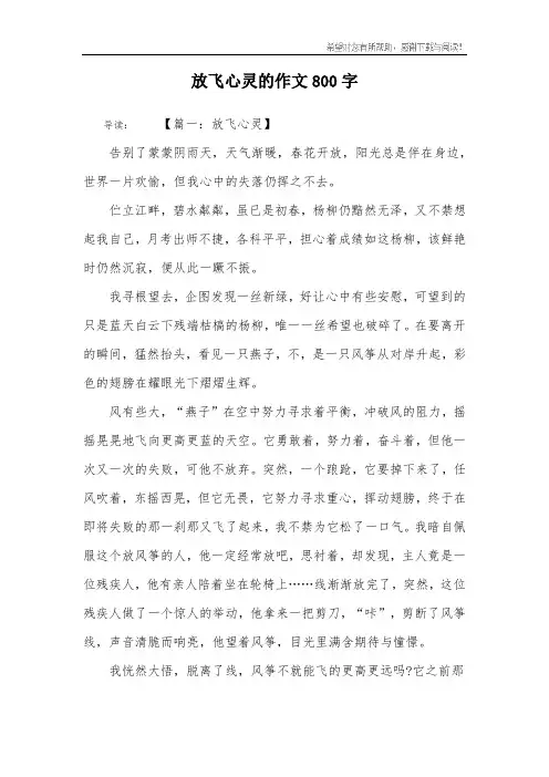 放飞心灵的作文800字