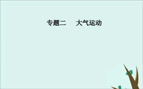 2020届高考地理二轮复习专题二大气运动高频考点2大气运动与降水课件