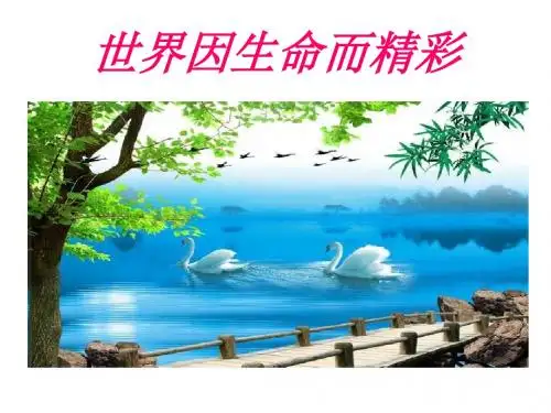 世界因生命而精彩 microsoft powerpoint 演示文稿课件.ppt