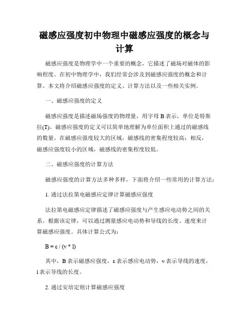 磁感应强度初中物理中磁感应强度的概念与计算