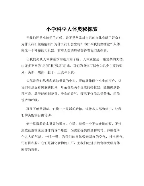 小学科学人体奥秘探索
