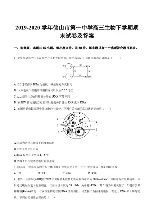 2019-2020学年佛山市第一中学高三生物下学期期末试卷及答案