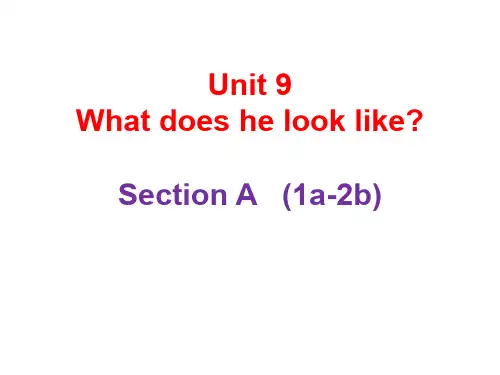 人教新目标版七年级英语下册Unit 9 What does he look like Section A 1a-2c课件