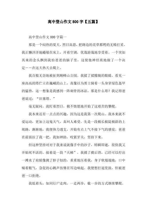 高中登山作文800字【五篇】