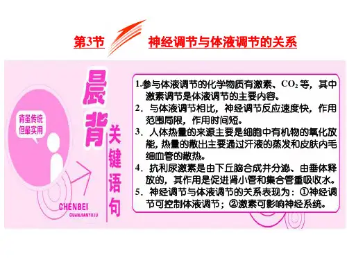 高中生物 必修3 ：  神经调节与体液调节的关系  课件PPT