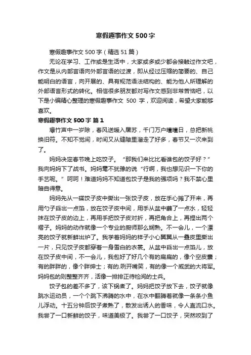 寒假趣事作文500字 2