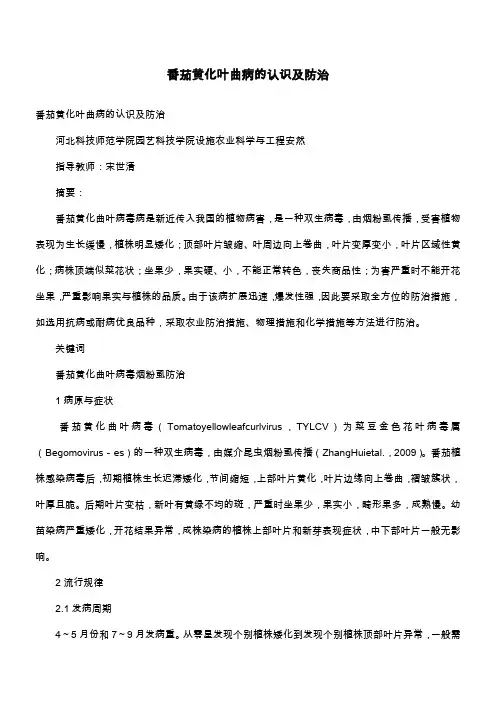 番茄黄化叶曲病的认识及防治