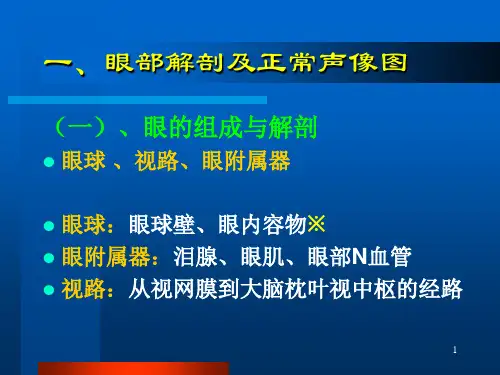 眼部常见病的超声诊断 